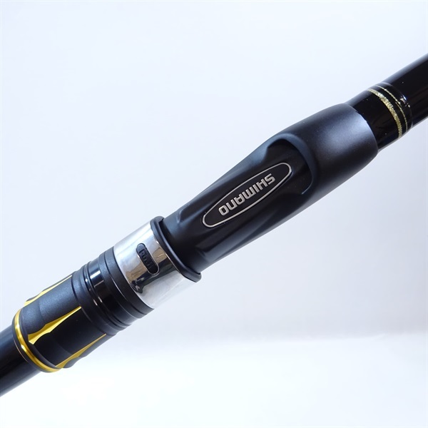 ２１アオリスタ５００